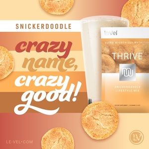 🍪Snickerdoodle Lifestyle Shake Mix 🍪 5 Packets - SAMPLE🍪